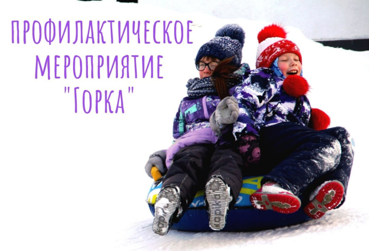 Профилактическое мероприятие "ГОРКИ" Профилактическое мероприятие "ГОРКИ".